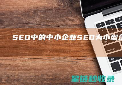 SEO中的中小企业SEO：为小型企业提供有效的SEO策略 (seo中文)