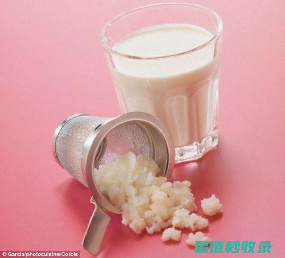 探究保存奶酪的多种方法：从传统到现代的全面指南