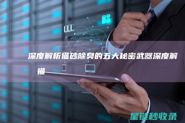 深度解析：猫砂除臭的五大秘密武器 (深度解析猫咪斗恶龙3)