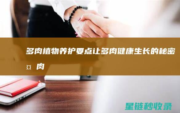 多肉植物养护要点：让多肉健康生长的秘密 (多肉植物养护卡)