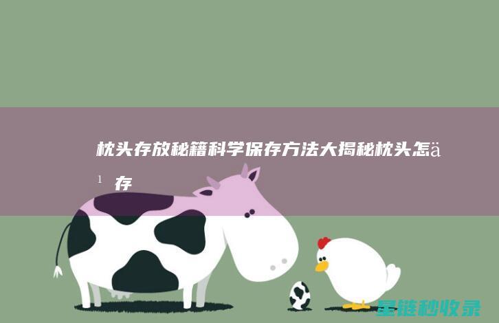 枕头存放秘籍：科学保存方法大揭秘 (枕头怎么存放)