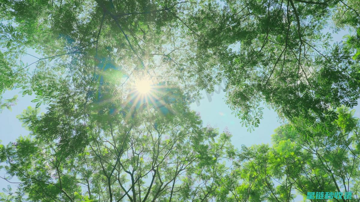 夏日阳光下的秘密武器：晒后修复全攻略 (夏日阳光下的歌唱家是谁)