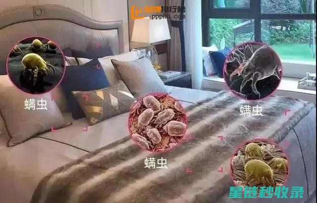 卧室除螨重点：枕头的清洁与保养 (卧室 除螨)