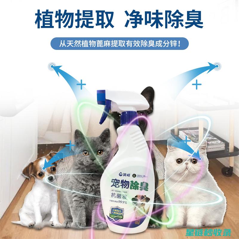 宠物异味去除：这些方法能让你的宠物成为大家心目中的宠儿 (宠物异味去除公司)