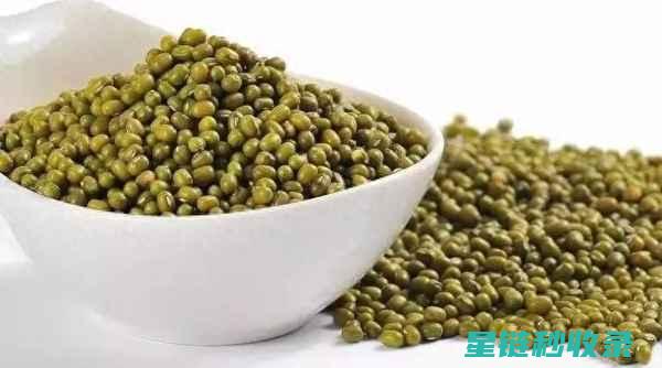 快速煮豆：厨房中的高效能战士 (怎样快速煮豆)