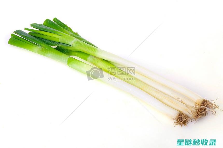 大葱保存方法大揭秘：延长葱叶寿命的实用技巧 (大葱保存方法 夏天)