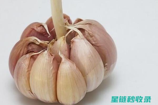 防止大蒜发霉，保存大蒜的正确方法 (防止大蒜发霉的措施)