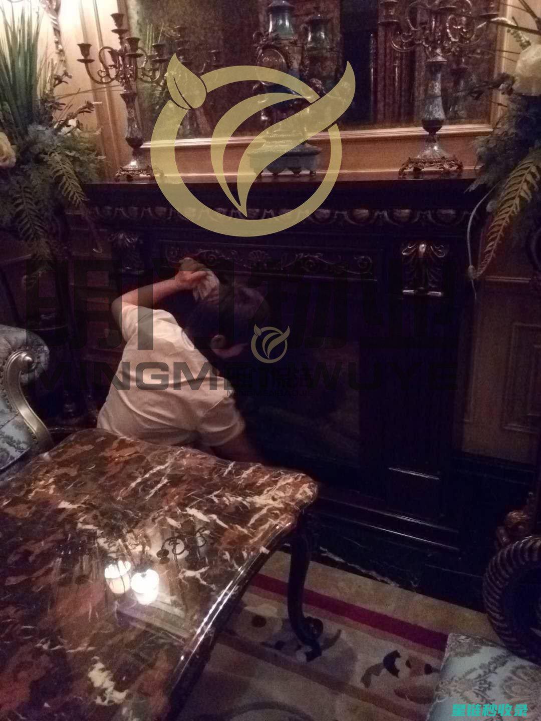 地毯快速清洁指南：简单几步搞定 (地毯快速清洁剂有哪些)