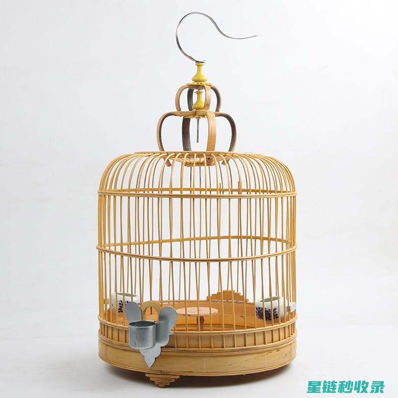 鸟笼清洁：从理论到实践的完整流程 (鸟笼子清洁好方法)